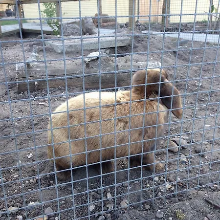 Birkende Отель типа 