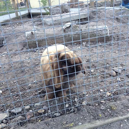 Birkende Отель типа 