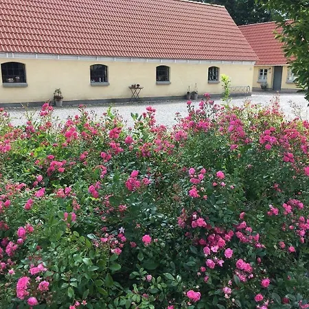 Bed & Breakfast Birkende