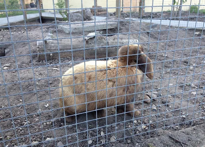 Birkende Bed & Breakfast 2*