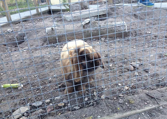 Birkende Bed & Breakfast Langeskov