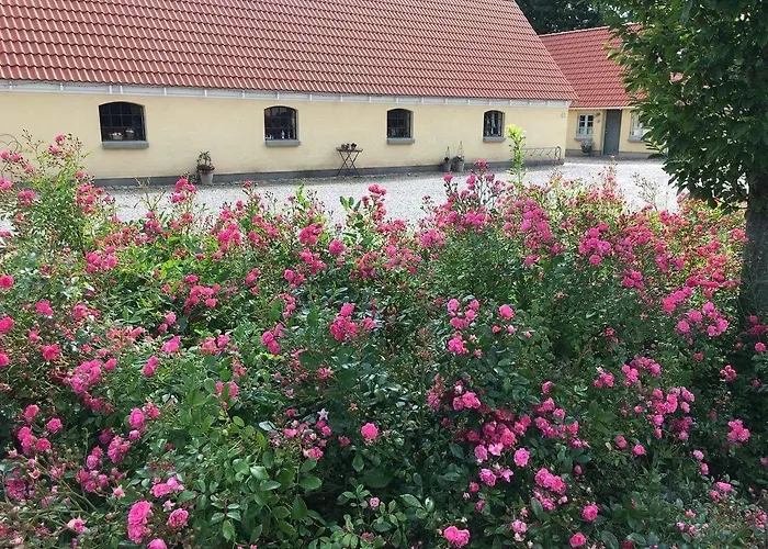 Bed & Breakfast Birkende