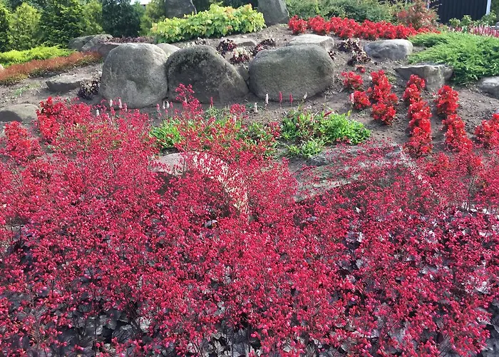 比尔肯德住宿加早餐酒店 2* Langeskov